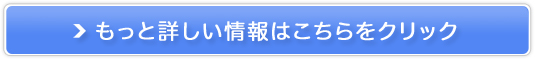 �كv�����̐_�˃t�����c�̔��T�C�g��